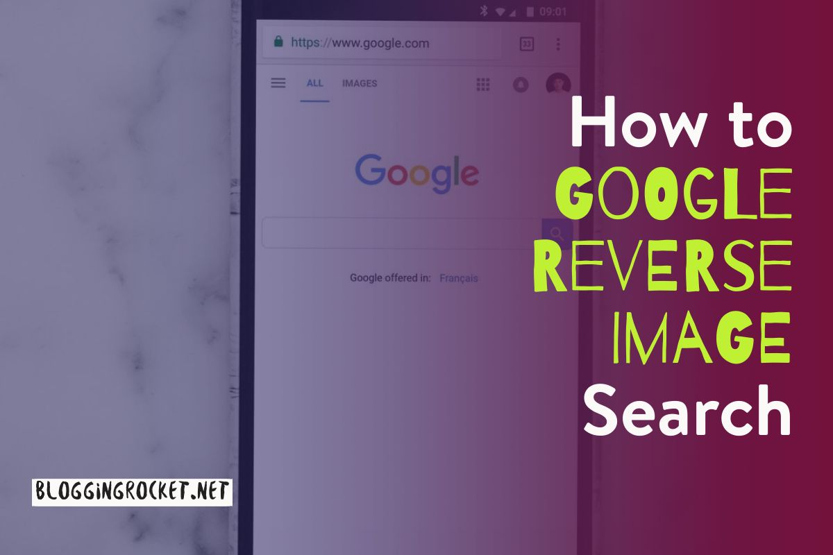 reverse image search on google